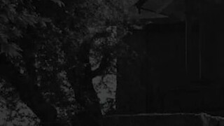MAY IBANG MGA NILALANG NA NAMBATO SA BAHAY NAMIN
