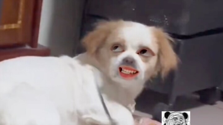 Sudah selesai, gigi bawah menutupi gigi atas tidak aman lagi