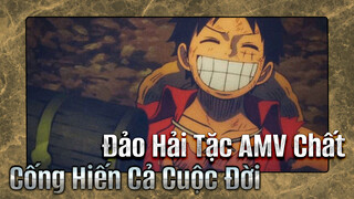 [Đảo Hải Tặc AMV] Nguyện Cống Hiến Cả Đời Cho One Piece