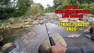 GINI NIH KALAU IKAN LAGI RAKUS!..! Strike Bertubi Tubi di Sungai Mengaji Purwokerto