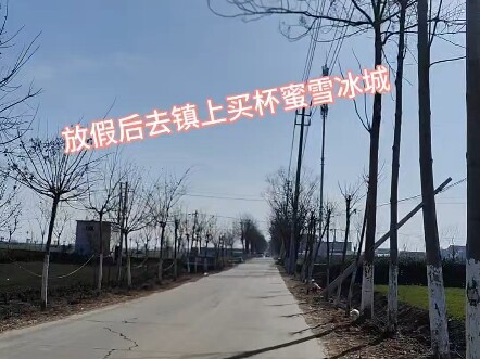 Gadis desa pergi ke kota untuk membeli Mixue