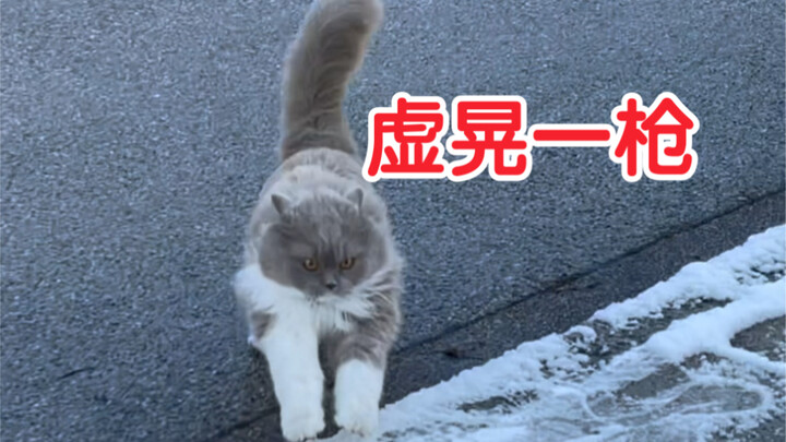 My mood’s been on a roller coaster! Can’t I just wipe away these tears of感动 yet?!