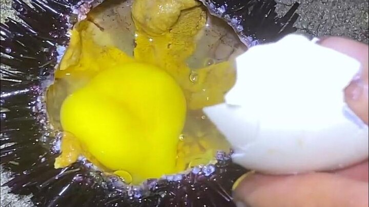 การเก็บของทะเลแบบนี้ พวกคุณชอบกันไหม?