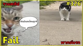 รวมคลิปตลกๆ : เจองี้…ก็เล่นมันเลยสิลูกเพ่!!