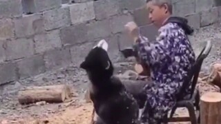 能活到现在全靠反应快