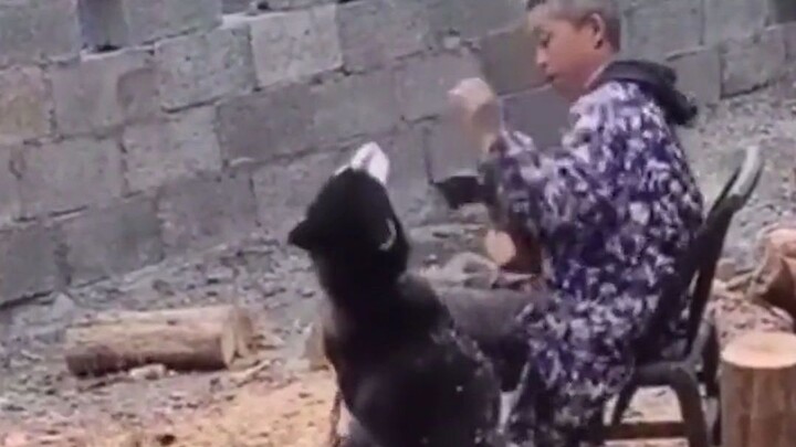 أنا على قيد الحياة الآن بفضل رد فعلي السريع