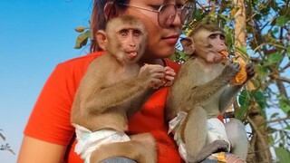 The Happy Girls!! Little adorable Toto Yaya are joyful eats fresh Orange outside with Mom