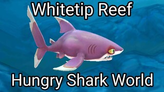 Hungry Shark World (Whitetip Reef) #BstationGamers #bestofbest