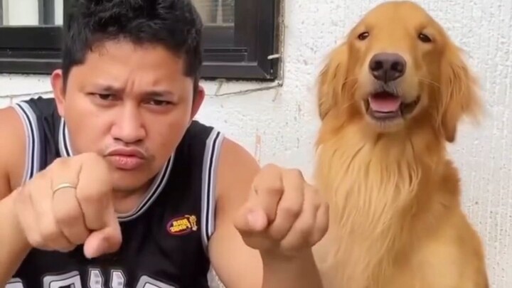 愿你安息，Thoby。我们想念你，也永远爱你。🕊️❤️ RIP thoby we miss you and we love you