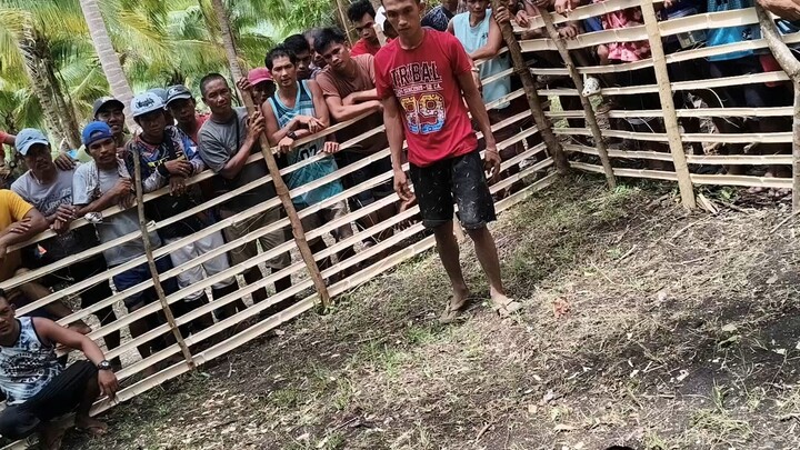 Boston Sweater Loss Fatal Wound