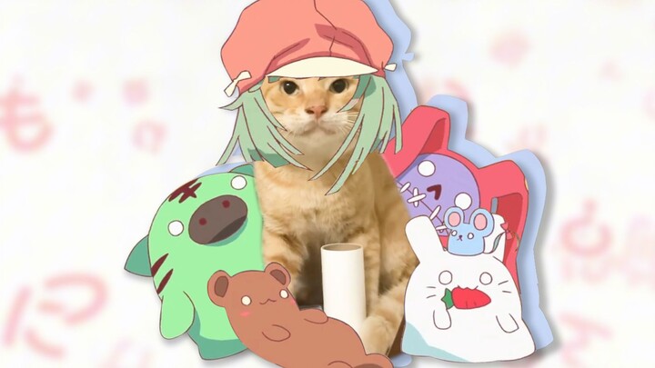 🐱 Cat Breathing Cycle 🐱