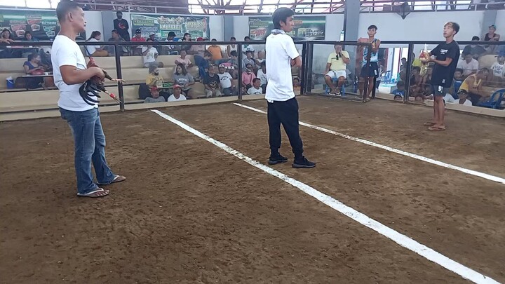 1st fight