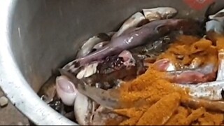 Fish Fry Fun | Food |