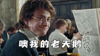 配上翻译腔的哈利波特就是一部喜剧片！2.0