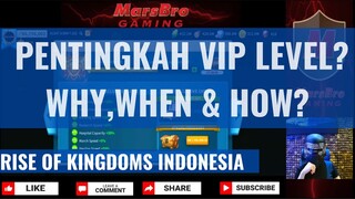 SEBERAPA PENTING VIP LEVEL [ RISE OF KINGDOMS INDONESIA ]