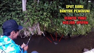 Banyak Ikan Kesasar || Disini IKAN YANG NGEJAR UMPAN!!