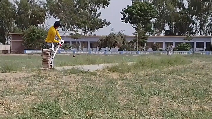cricket funny videos