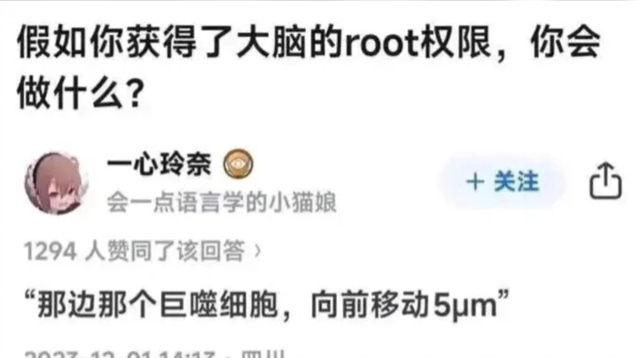 The Brain Government released the ATP Round Roll today.