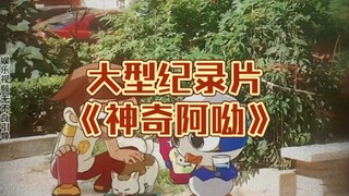 Large-scale documentary "Magic Ayo"