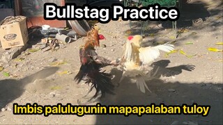 Nagpaalikabok? Quality Bullstag sa las piñas? Panalo ka dito! 🙌🥇