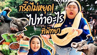 [VLOG] กริ๊ดไม่หยุด! เอแคลร์ไปทำอะไรพัทยา | จือปาก