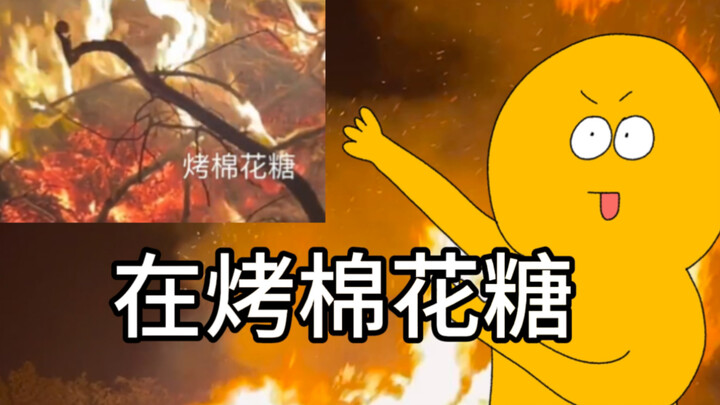 [Trứng rán] Ý tưởng đi du học này có phải hơi trừu tượng quá không?