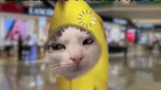 Saat saya masih kecil, saya melakukan sesuatu yang dapat saya banggakan sepanjang sisa hidup saya.