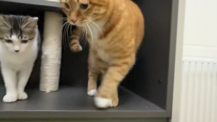 เพิ่งเลื่อนดูวิดีโอแป๊บเดียว ทั้งหมดก็มีแต่ “หัวไชเท้า หอยแครง” จนจะโดนฝังใจเข้าไปแล้วเลย