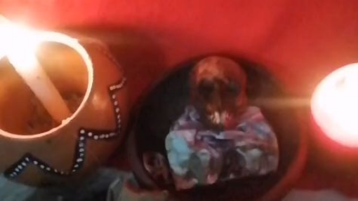 #+27685771974 AFRICA BRING BACK LOST LOVE SPELLS, LOVE SPELLS CASTER IN CALIFORNIA