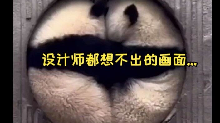 The scene that the designer couldn't think of was played out by Pan Yuezi🤭