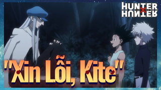 "Xin Lỗi, Kite"