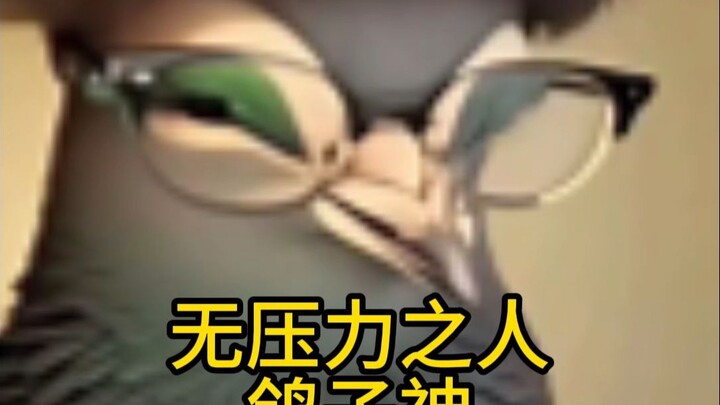 The Carefree One: The Pigeon God