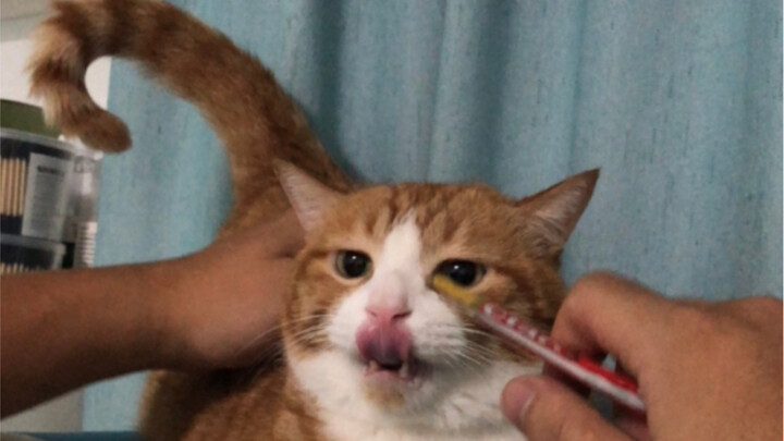 Sial, pria ini ternyata punya delapan tangan!