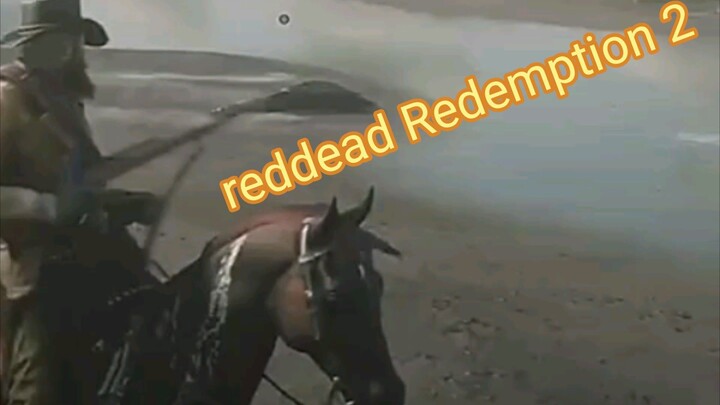 RED DEAD #reddeadredemption2 #jacare