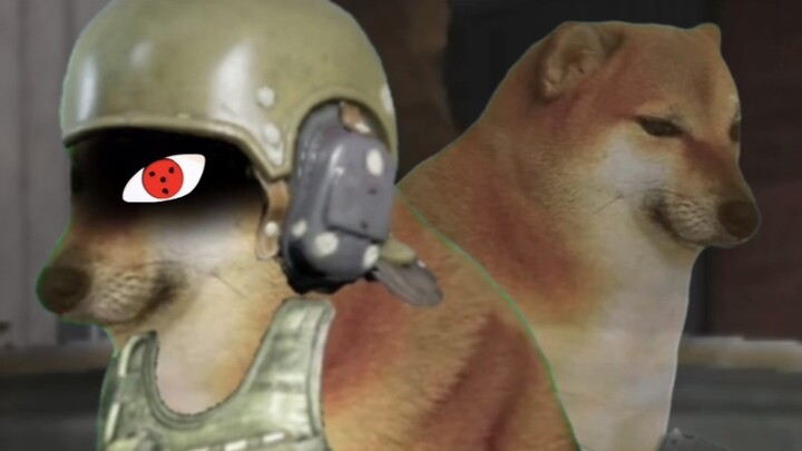 【Chiến Khu Bóng Tối】Làm chuột sướng lắm, cứ làm mãi là cứ sướng hoài!