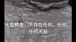 هل للتمساح الضخم أعداء طبيعيون؟ كلما زاد عدد "الأعداء الطبيعيين" التي تذكرها، دلّ ذلك أكثر على استحا