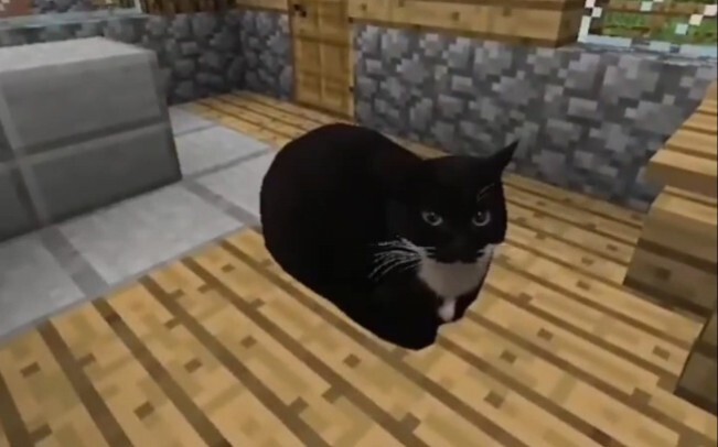 Maxwell the Cat Has Arrived in Minecraft – Parts 1–6