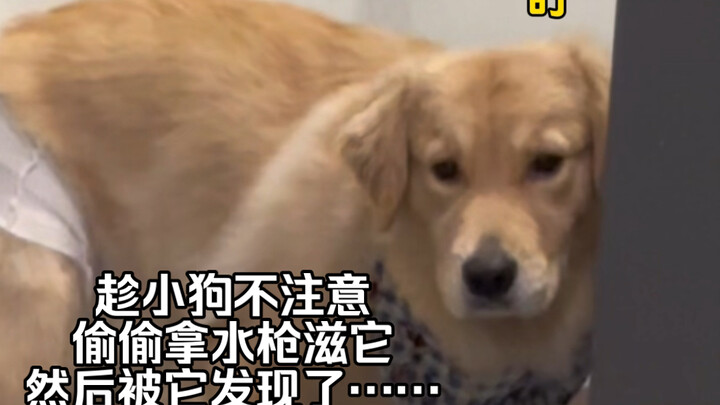 طوال اليوم، ما بتعمل شي مفيد!