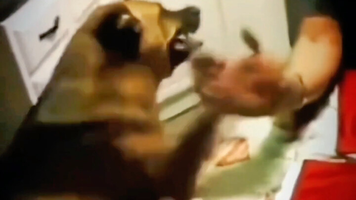 Sức mạnh của sự ràng buộc!