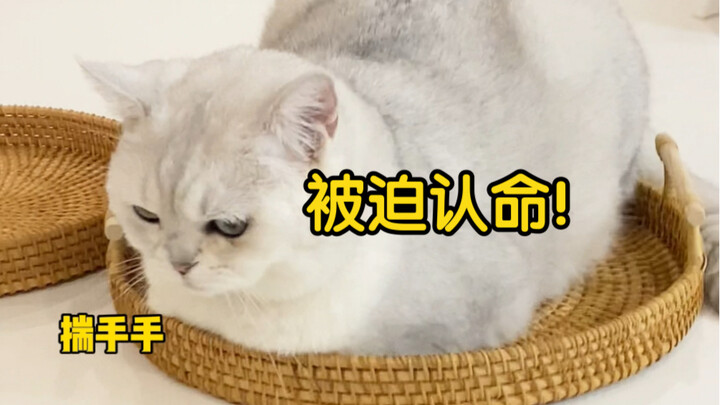 Basket: Should’ve known it was a total mess.