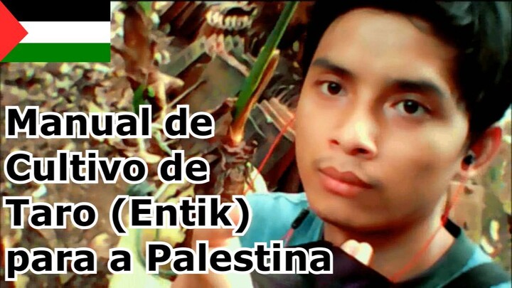 Dokumentasi Nanam Talas Taro (Entik) tutorial for Palestine by Diary Rumahan