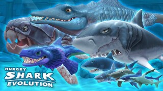 VŨ LIZ LẦN ĐẦU CHƠI GAME HUNGRY SHARK !!!