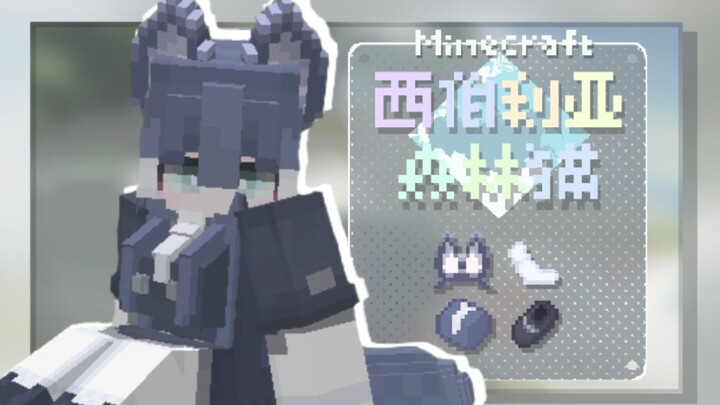 Minecraft: Introduction to the Siberian Forest Cat's Adorable Armor