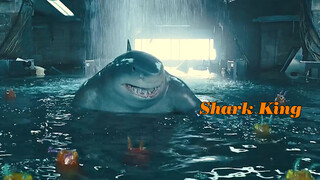 The Glass Is Not to Protect the Fish, But King Shark