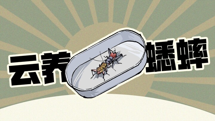 When I was a kid, I loved watching others battle crickets; now that I'm grown up, I'm playing cricke