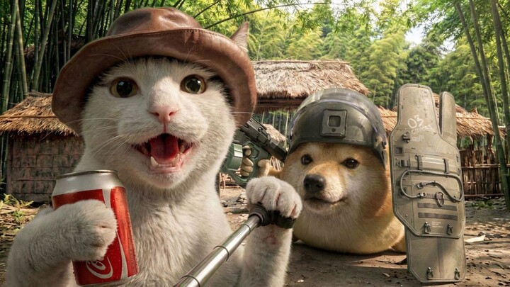 Perang kucing vs anjing!