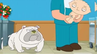 เจอกันใหม่ทุกวันนะ [Family Guy]