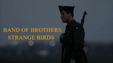 Band of Brothers - Strange Birds