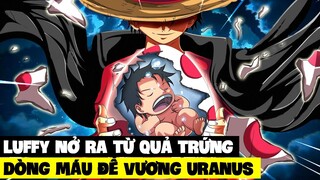 Đây là cách Luffy CHÀO ĐỜI, cách 1 VỊ VUA được sinh ra trong One Piece?!