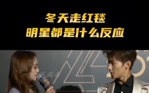 盘点明星冬天走红毯的反应